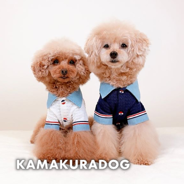 トリコロールマリンシャツ 可愛い小型犬の洋服通販 鎌倉ドッグ