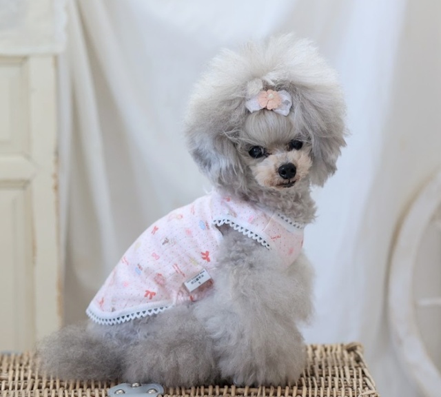 ） リボン ドレス ゴージャス （ 犬服 中小型犬用 春夏用ペット服 オリジナル超大リボン付きドレス lab. dotty S~XL フリフリ かわいい 犬服・アクセサリー
