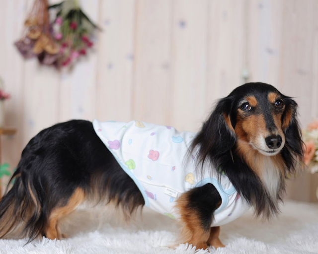 オーガニックこもれびバニータンク 可愛い小型犬の洋服通販 鎌倉ドッグ