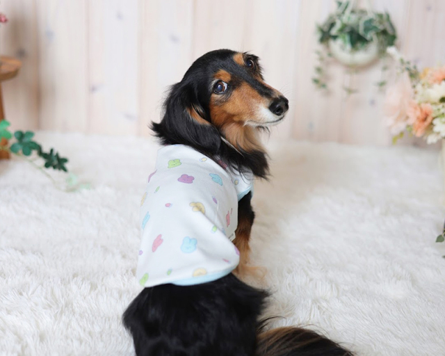 オーガニックこもれびバニータンク 可愛い小型犬の洋服通販 鎌倉ドッグ