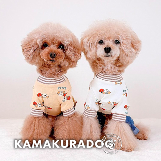 アップルパピートップス