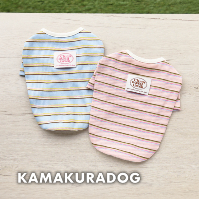 シトラスボーダートップス