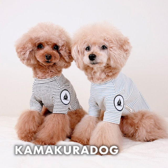 マリンボーダーＴシャツ