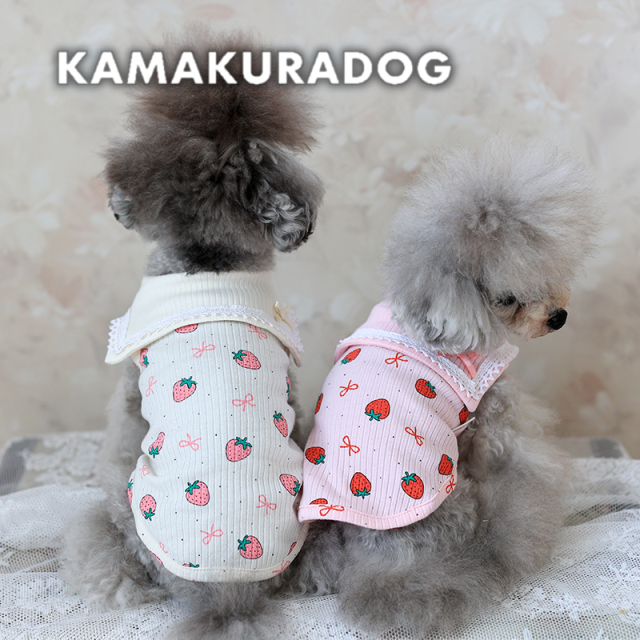 犬用フルーツ柄特集｜可愛い小型犬用フルーツデザインウェア