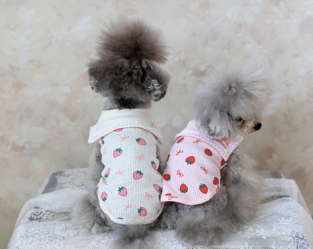 ベリースウィートタンク 可愛い小型犬の洋服通販 鎌倉ドッグ