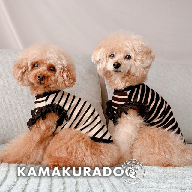 シックボーダートップス