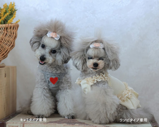 コルミーリブキャミ・ワンピ 可愛い小型犬の洋服通販 鎌倉ドッグ
