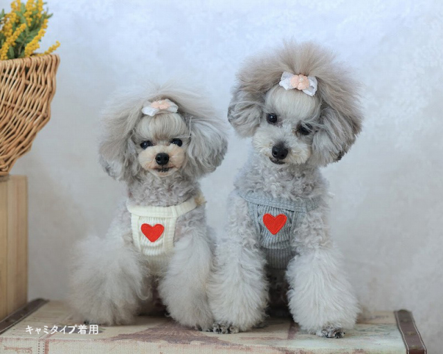 コルミーリブキャミ・ワンピ 可愛い小型犬の洋服通販 鎌倉ドッグ