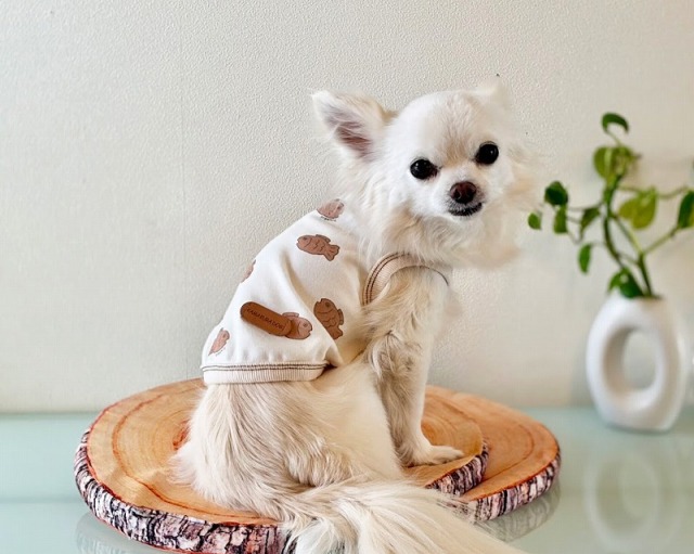 たい焼きくんオーガニックタンク・ロンパース 可愛い小型犬の洋服通販