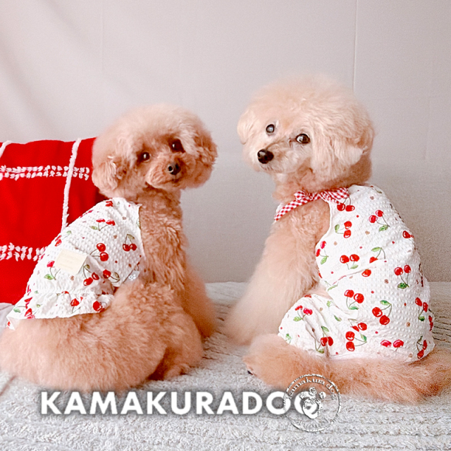 XSサイズ犬服 - 体重1kg前後の小型犬にぴったりのスタイリッシュなアイテム