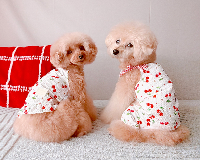さくらんぼ日和ワンピ・つなぎ 可愛い小型犬の洋服通販 鎌倉ドッグ