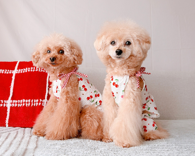 さくらんぼ日和ワンピ・つなぎ 可愛い小型犬の洋服通販 鎌倉ドッグ