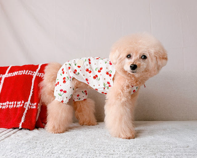 さくらんぼ日和ワンピ・つなぎ 可愛い小型犬の洋服通販 鎌倉ドッグ