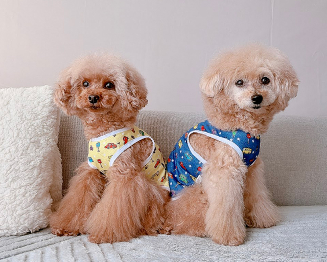 おえかきCOOLメッシュタンク 可愛い小型犬の洋服通販 鎌倉ドッグ