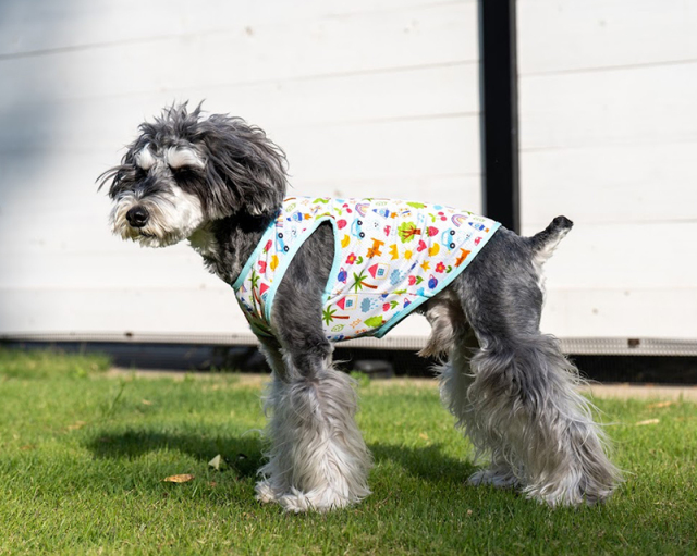 おえかきCOOLメッシュタンク 可愛い小型犬の洋服通販 鎌倉ドッグ