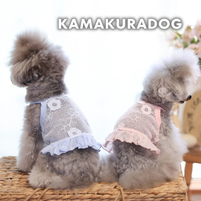メッシュフラワーショート丈キャミワンピ