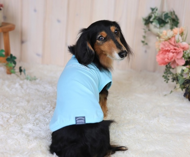 UVケアウェーブメッシュタンク 可愛い小型犬の洋服通販 鎌倉ドッグ