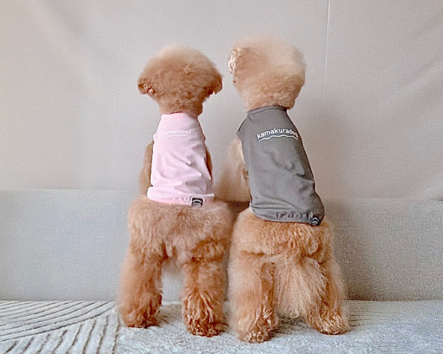 ウェーブメッシュタンク 可愛い小型犬の洋服通販 鎌倉ドッグ