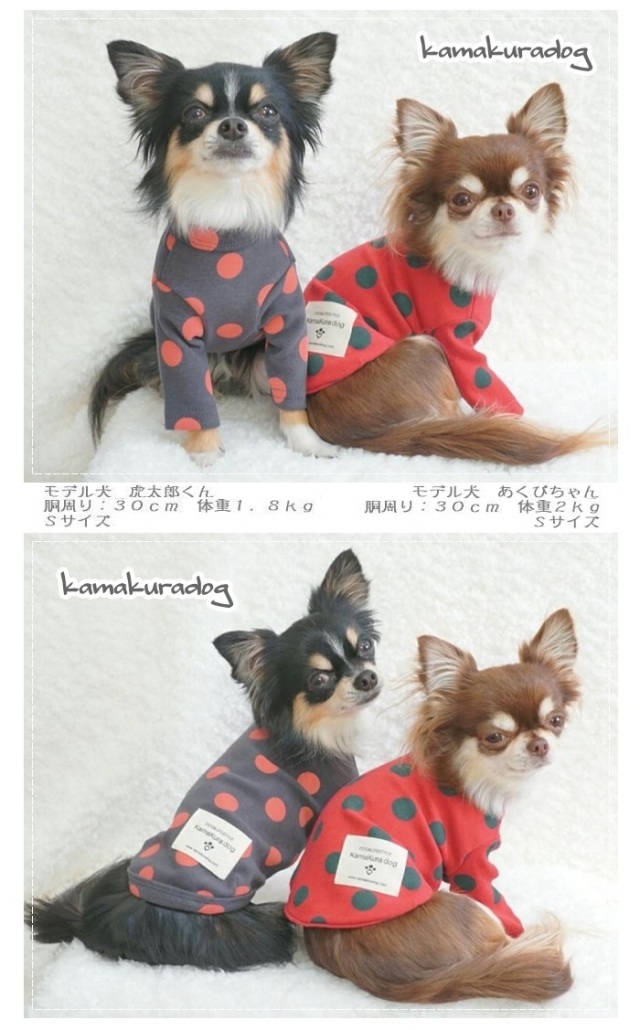 おしゃれなドット柄