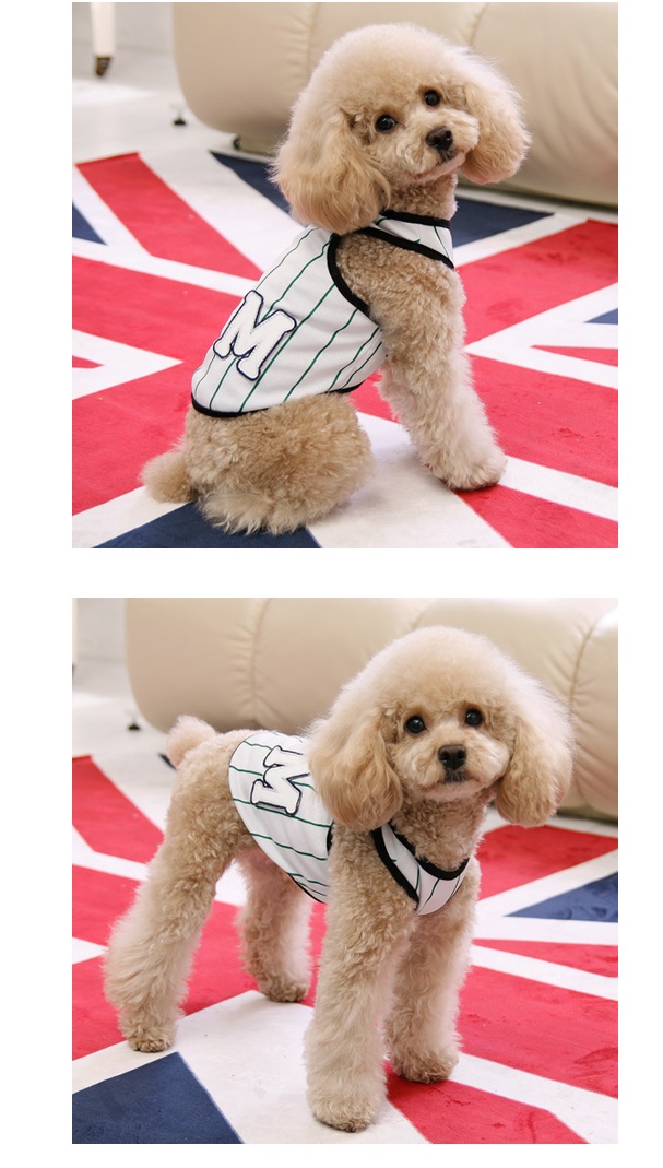 夏の犬の服、トイプードル、チワワにも似合うビブス風Ｔシャツ