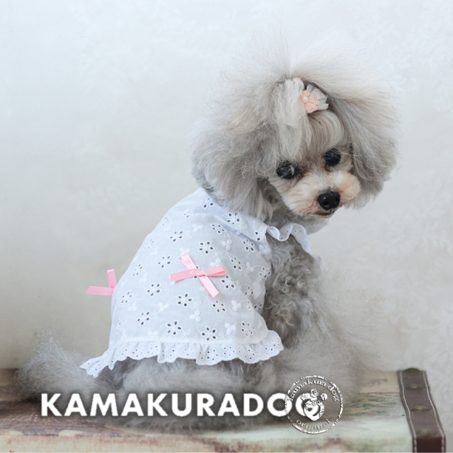 XSサイズ犬服 - 体重1kg前後の小型犬にぴったりのスタイリッシュなアイテム