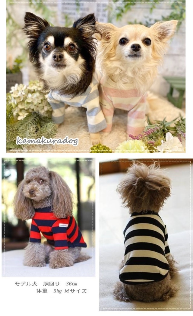 可愛い小型犬洋服通販 鎌倉DOG ネイビーロングスリーブTシャツ