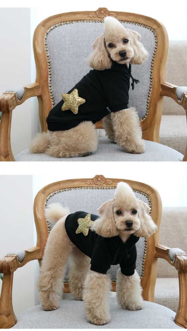 ふわふわ厚みのあるゴールドスターブローチ付のゴールドスターパーカー