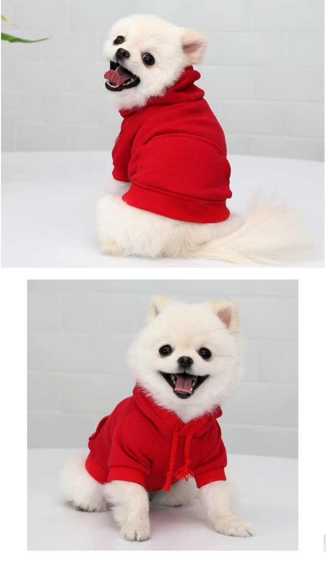 ふわふわ厚みのあるゴールドスターブローチ付のゴールドスターパーカー