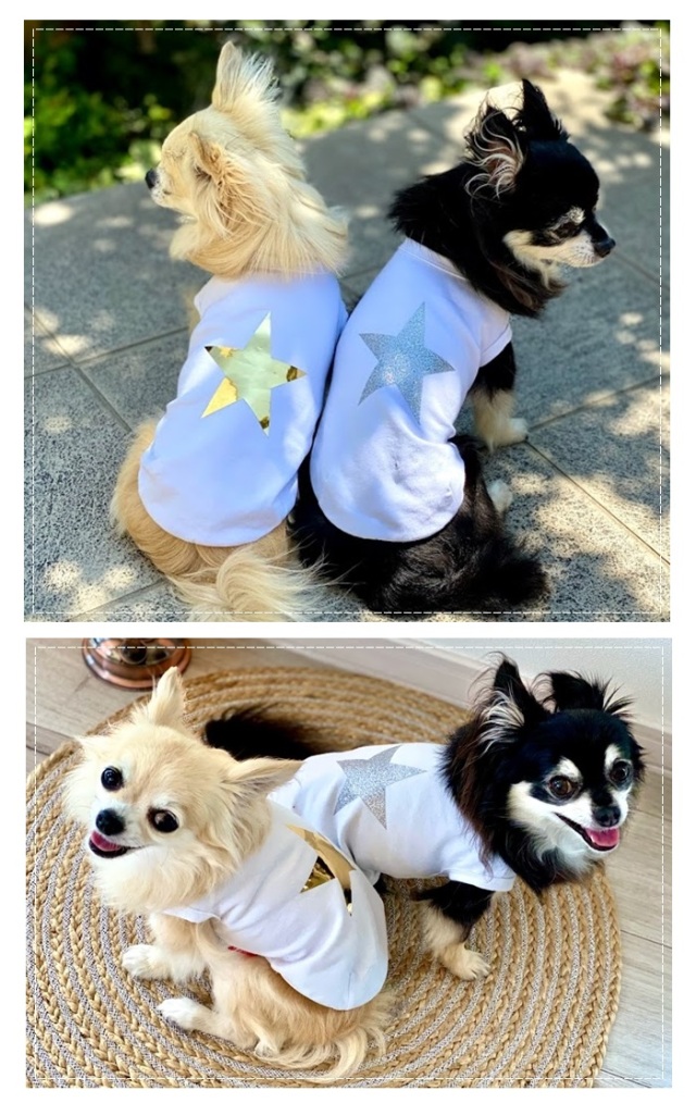 可愛い小型犬の洋服通販 鎌倉ドッグ NEW！GO！SUMMERタンクトップ