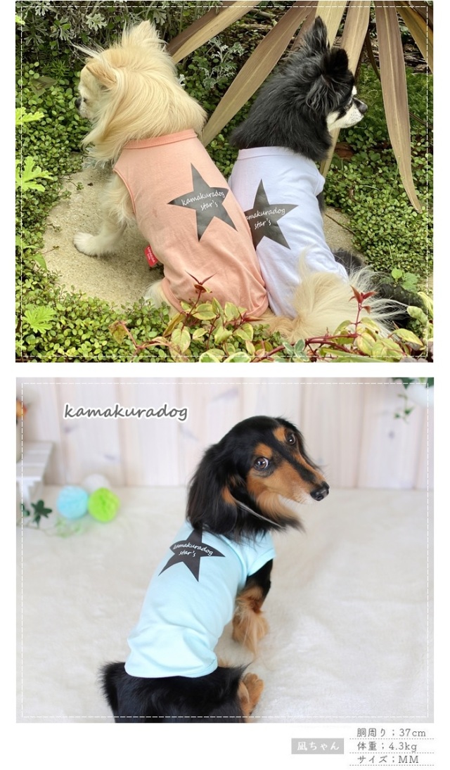 可愛い小型犬の洋服通販 鎌倉ドッグ NEW！GO！SUMMERタンクトップ