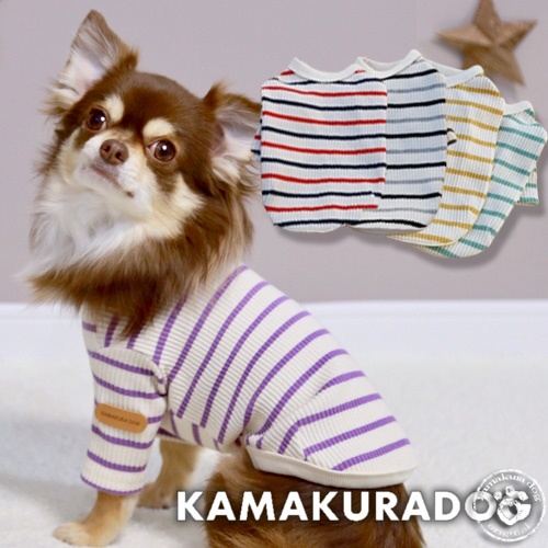 nodress シャツ　犬　トップス トップス 犬の服 鎌倉DOG