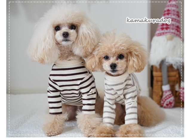 可愛い犬の服、小型犬、ペットの服通販