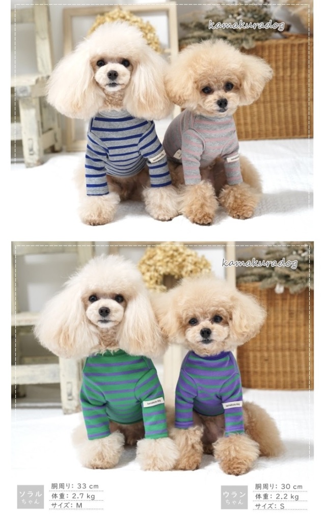 可愛い犬の服、小型犬、ペットの服通販