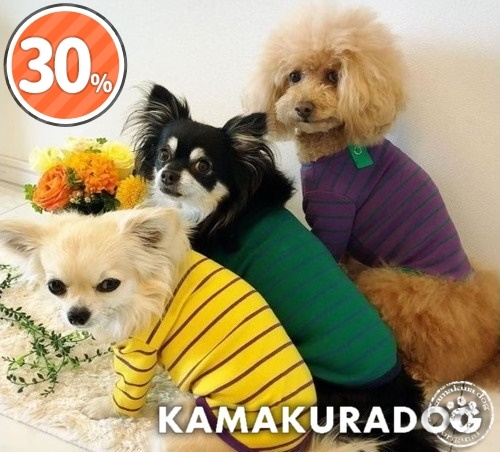 ワンポイントTシャツ