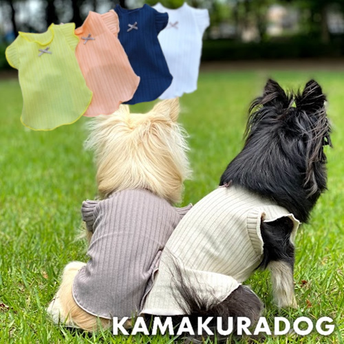ハルシャツ