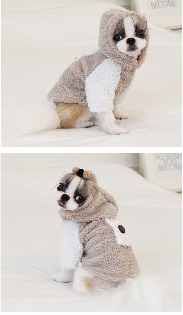 可愛い小型犬の洋服通販 鎌倉ドッグ