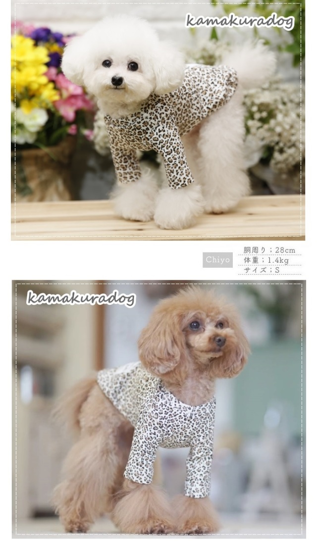 可愛い小型犬の洋服通販 鎌倉ドッグ