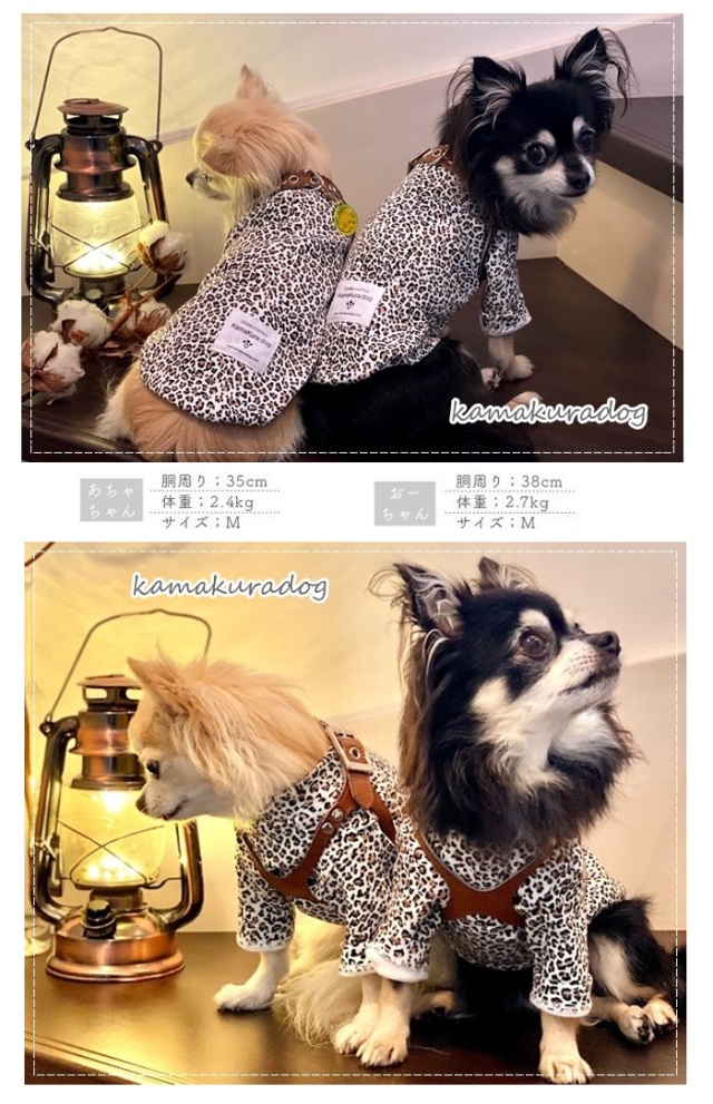 可愛い小型犬の洋服通販 鎌倉ドッグ