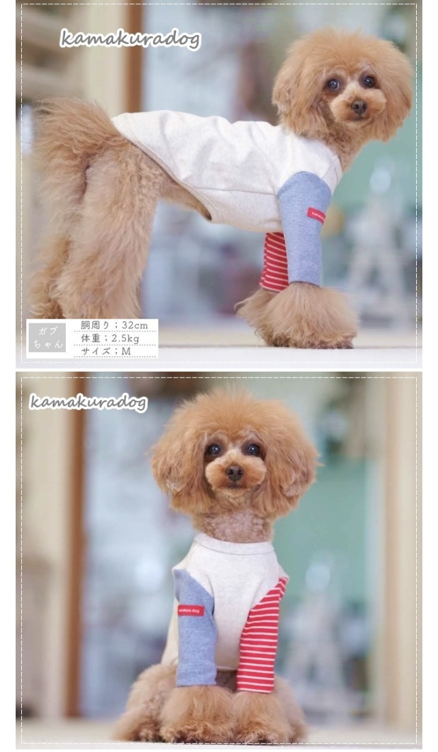 可愛い小型犬の洋服通販 鎌倉ドッグ