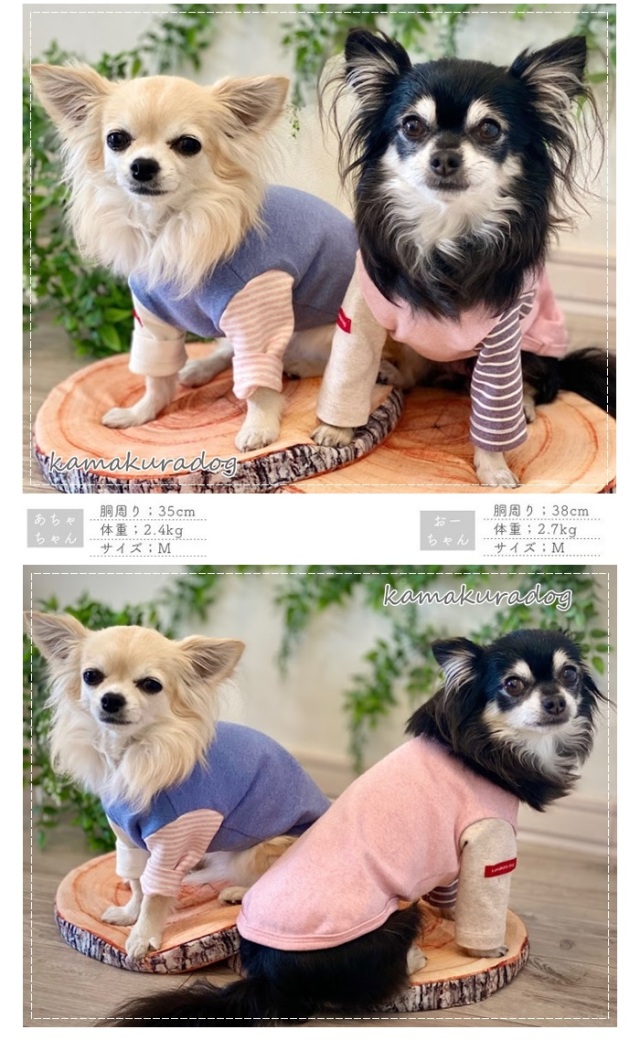 可愛い小型犬の洋服通販 鎌倉ドッグ