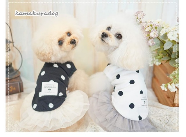 可愛い小型犬の洋服通販 鎌倉ドッグ ☆タンクトップ