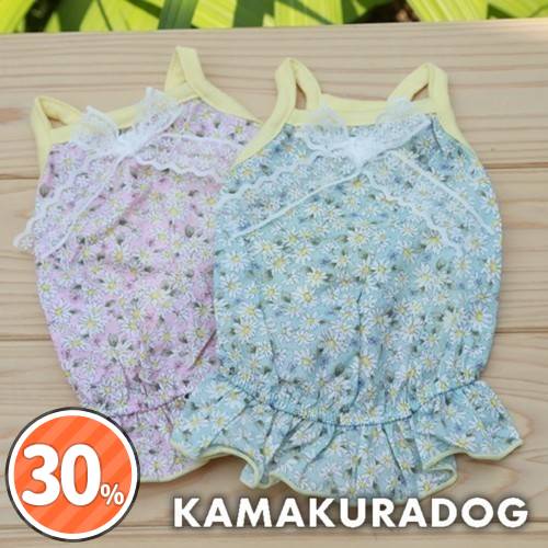 * vintage dog ❀ さくら色の キュートな ワンちゃん チワワ・ロングコート 】スイーツ系女子が鶴ヶ島店にやってきた