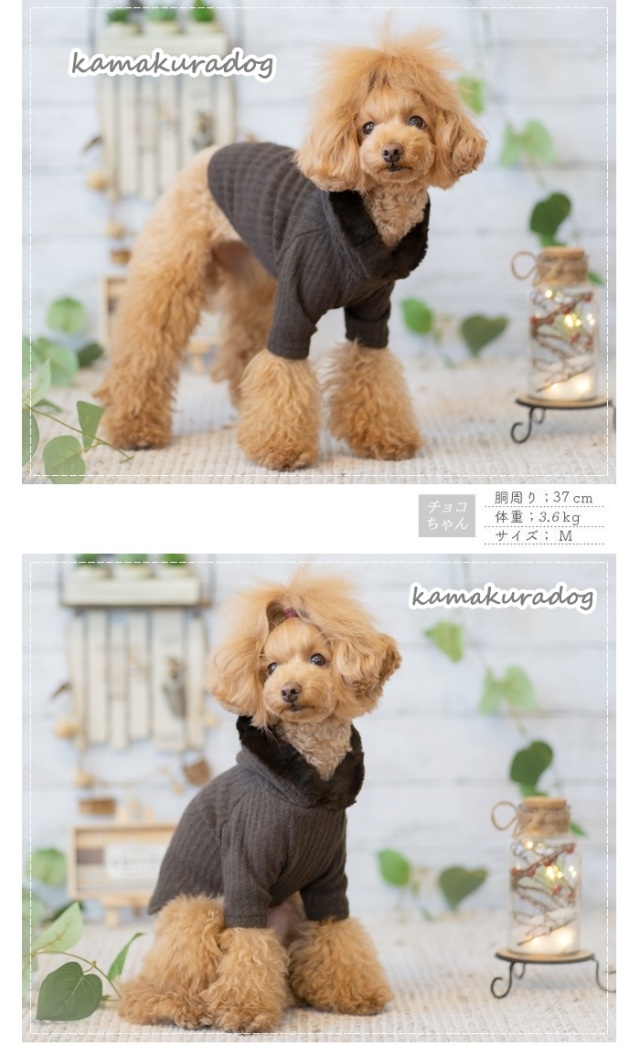 可愛い小型犬の洋服通販 鎌倉ドッグ