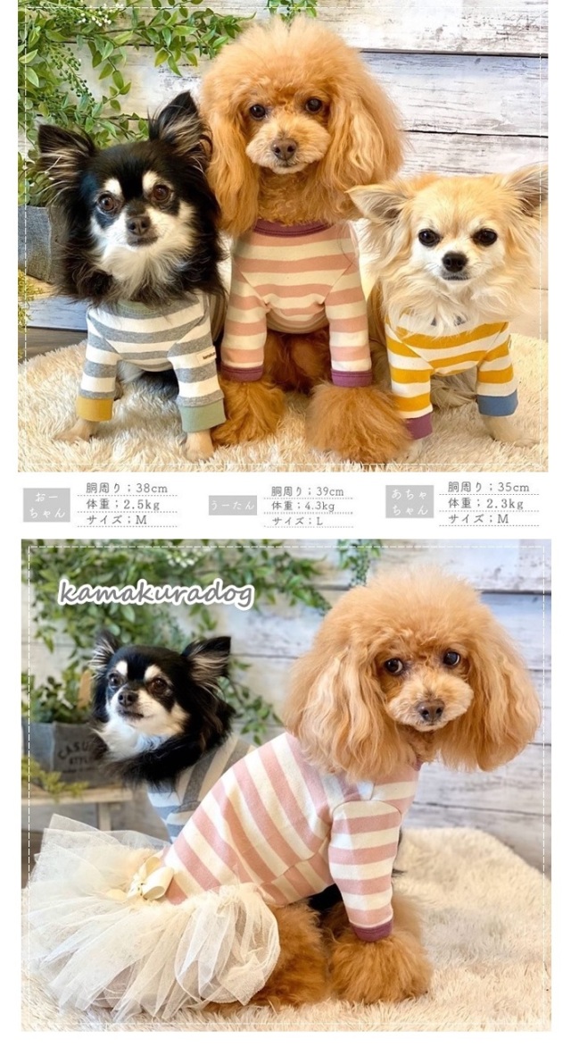 可愛い小型犬の洋服通販 鎌倉ドッグ