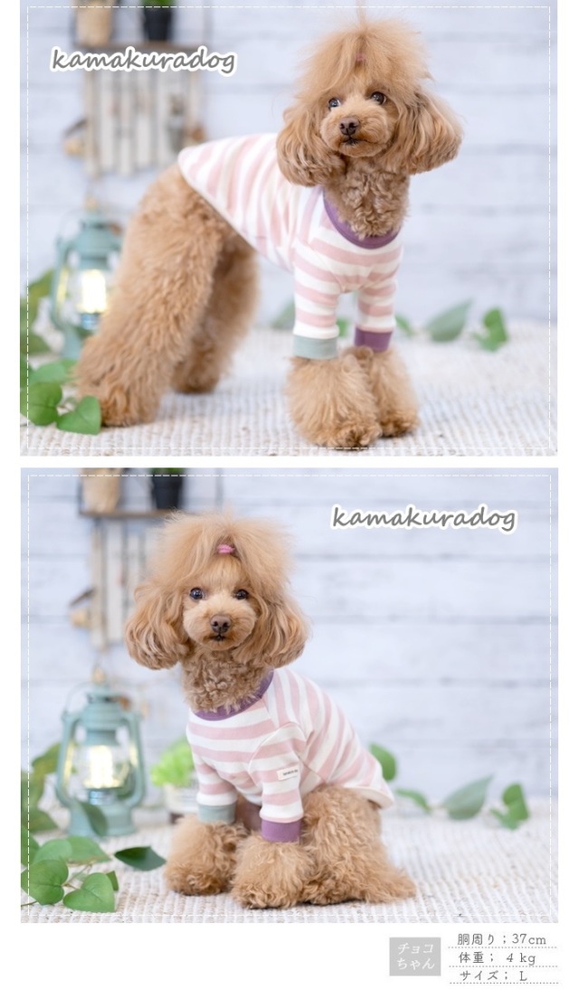 可愛い小型犬の洋服通販 鎌倉ドッグ