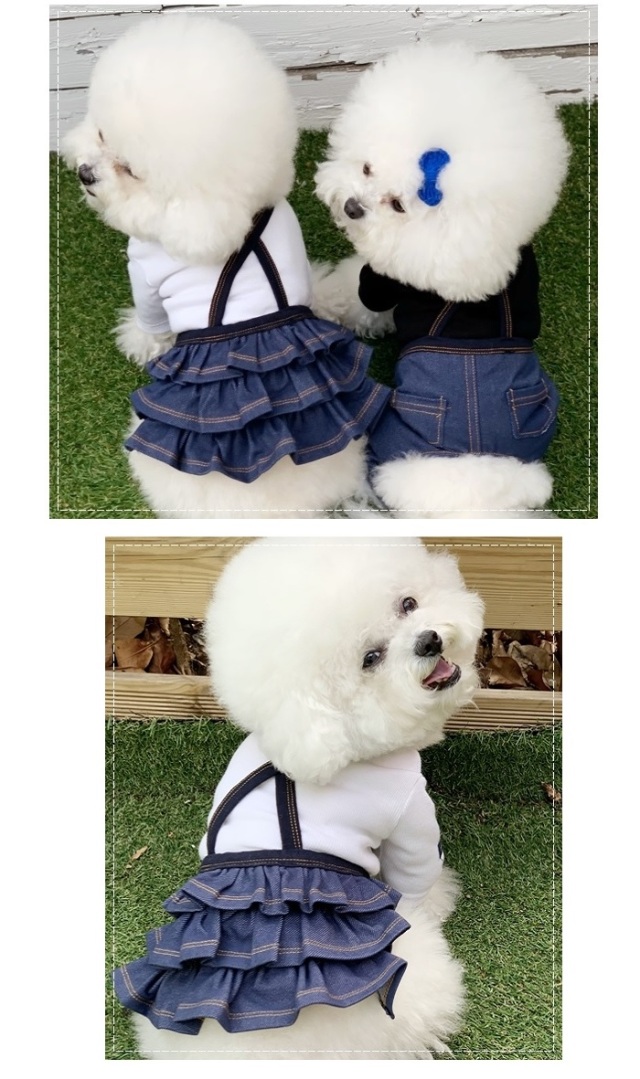可愛い小型犬の洋服通販 鎌倉ドッグ