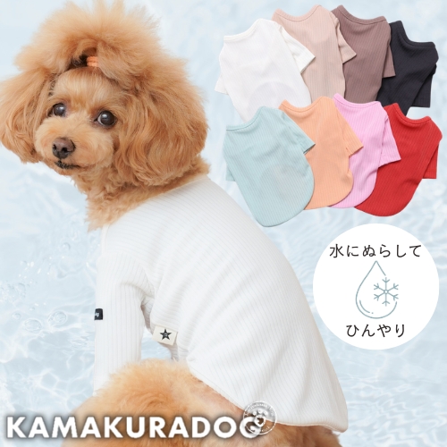 NEWインナーリブTシャツ