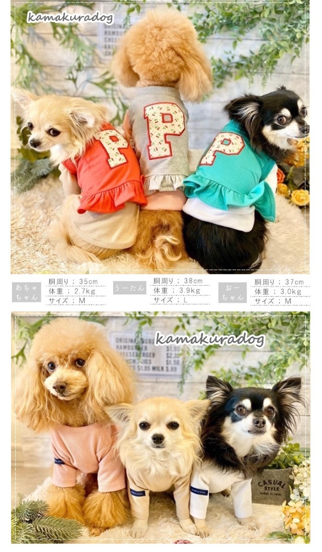 可愛い小型犬の洋服通販 鎌倉ドッグ