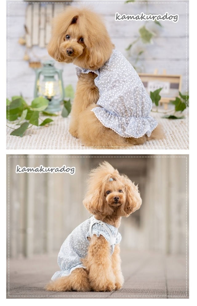 小型犬のプルパーカー ワソワソ グレー ペットパラダイス もこふわ セーター 【小型犬】 モカ / PET