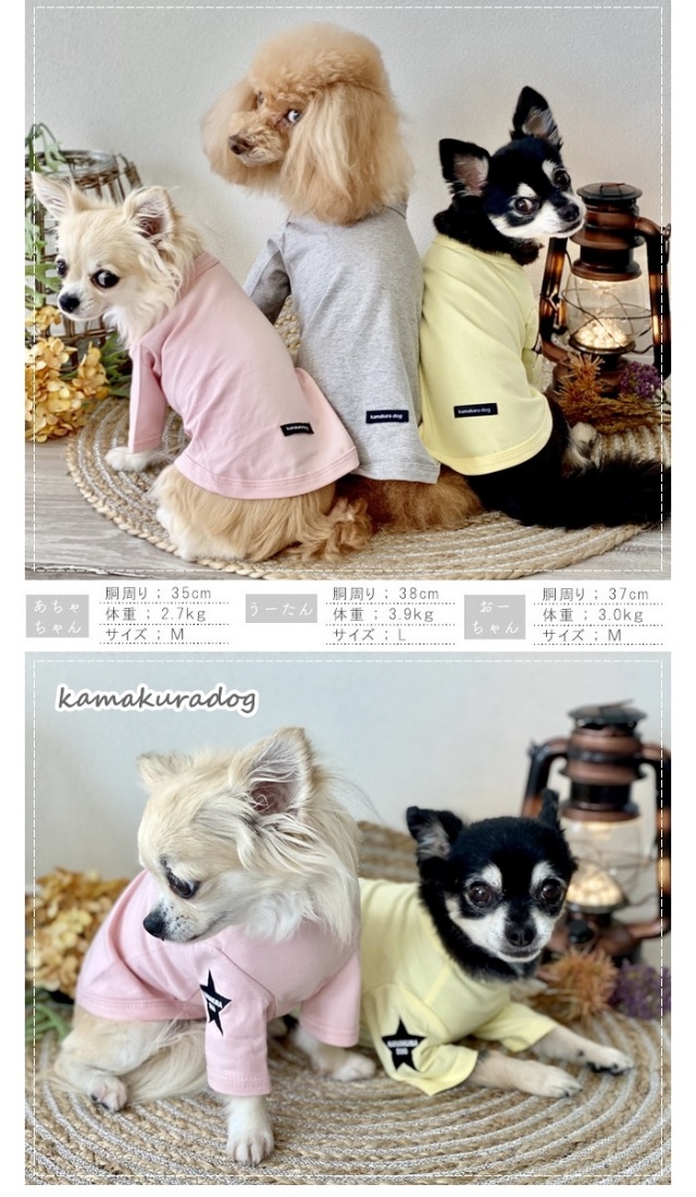 可愛い小型犬の洋服通販 鎌倉ドッグ ワンポイント刺繍インナー